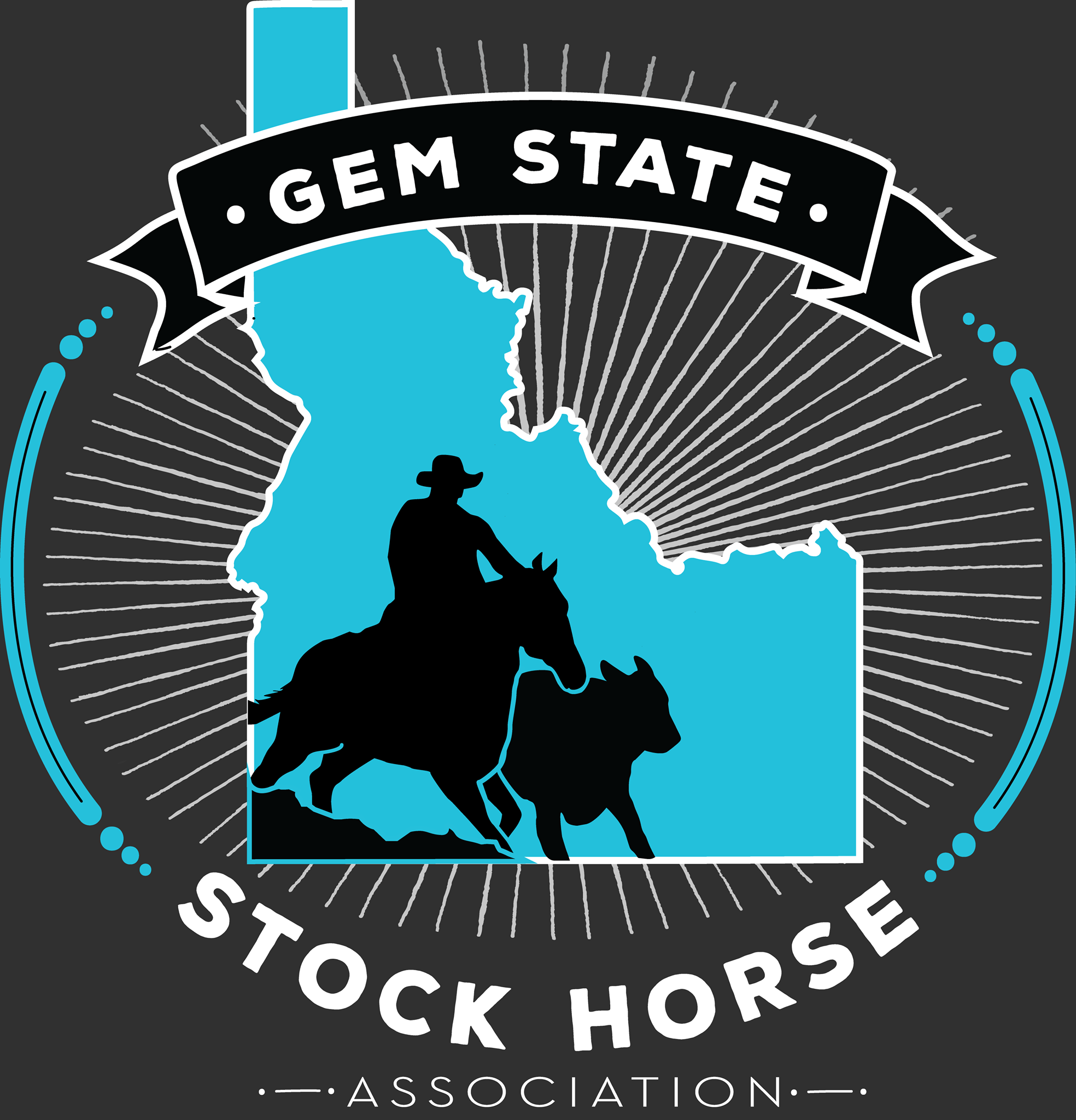 More Info for Gem State NRCHA Show
