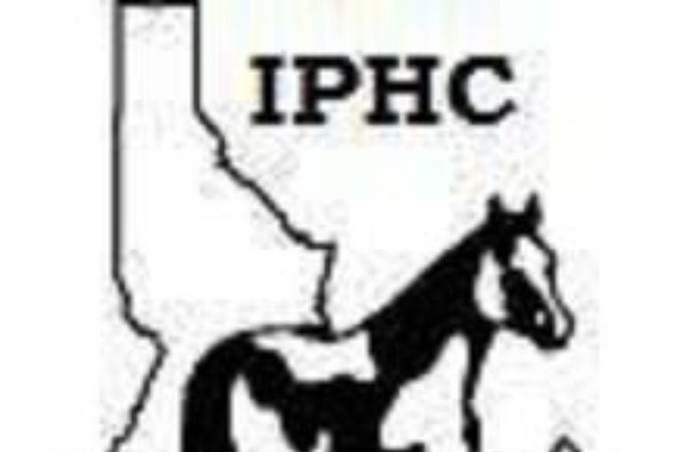 More Info for Idaho Paint Horse
