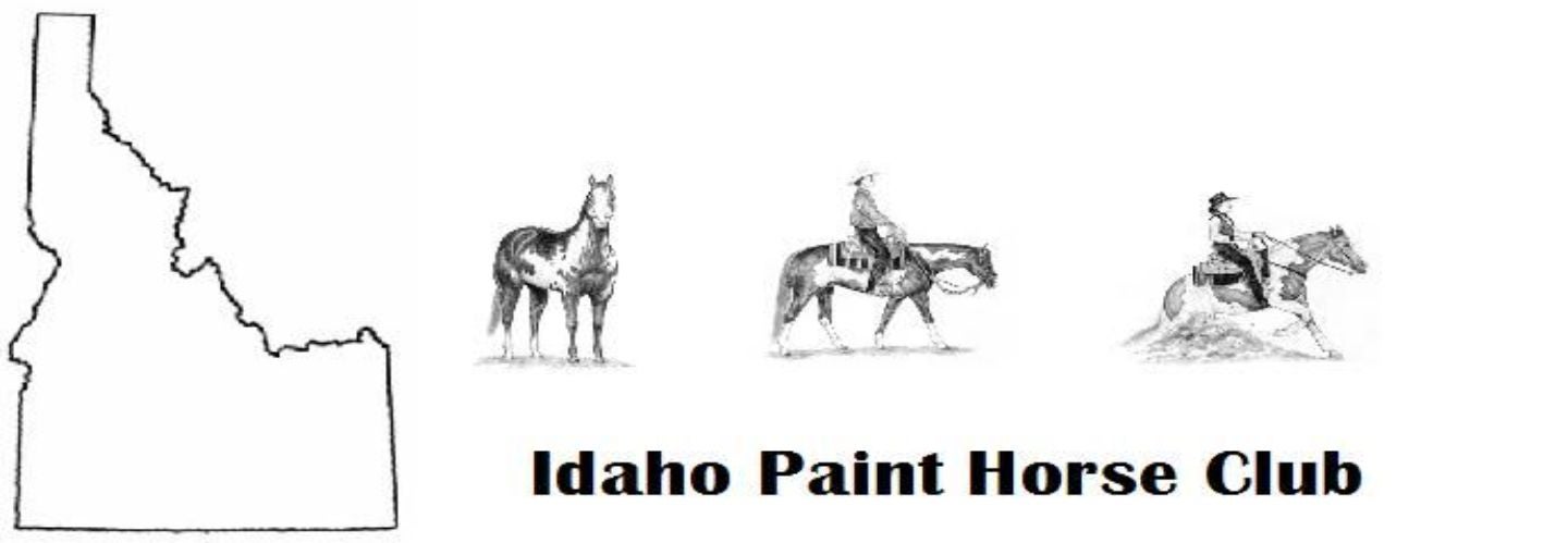 Idaho Paint Horse