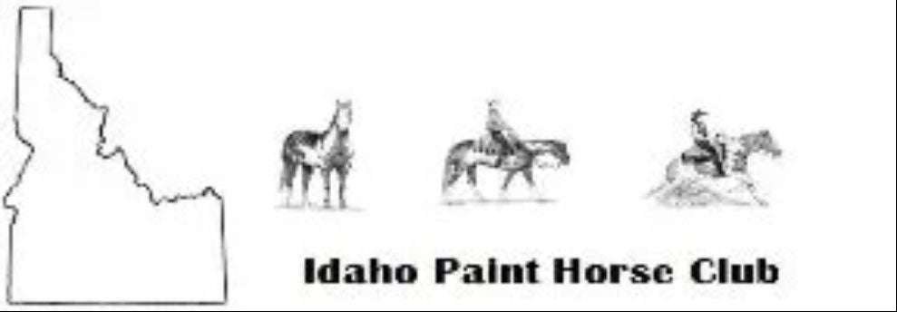 Idaho Paint Horse