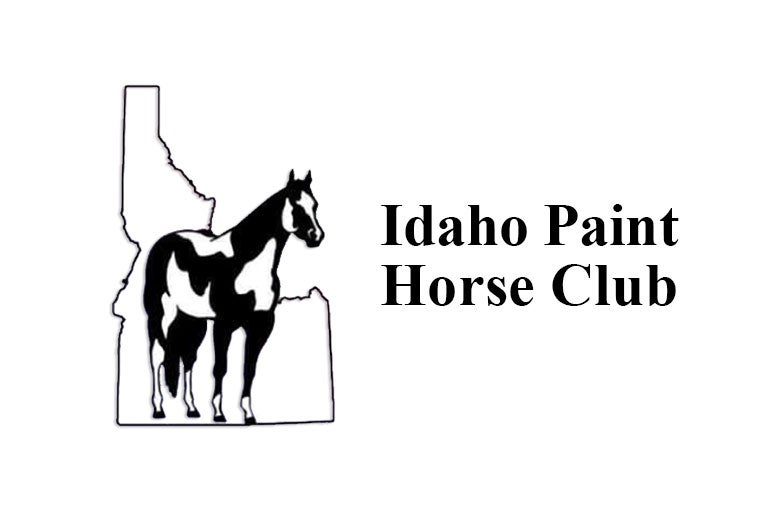 More Info for Idaho Paint Horse