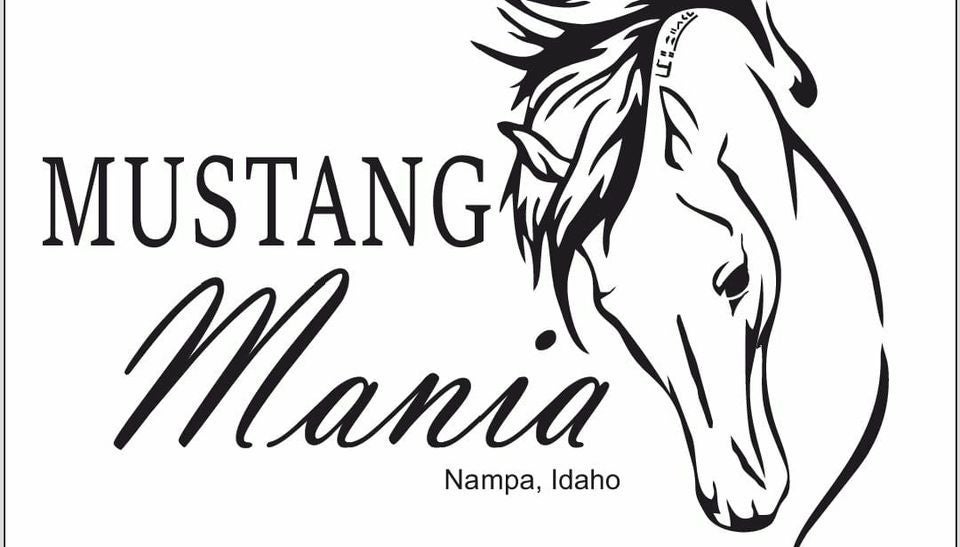 Mustang Mania