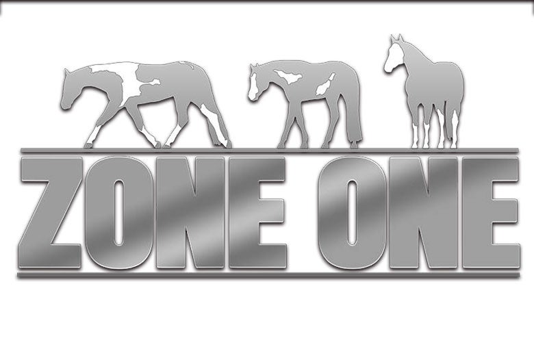 More Info for Zone One Paint
