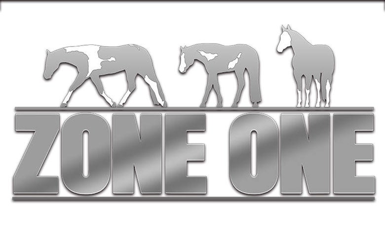 More Info for Zone One Paint