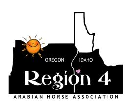 More Info for Region 4 AHA