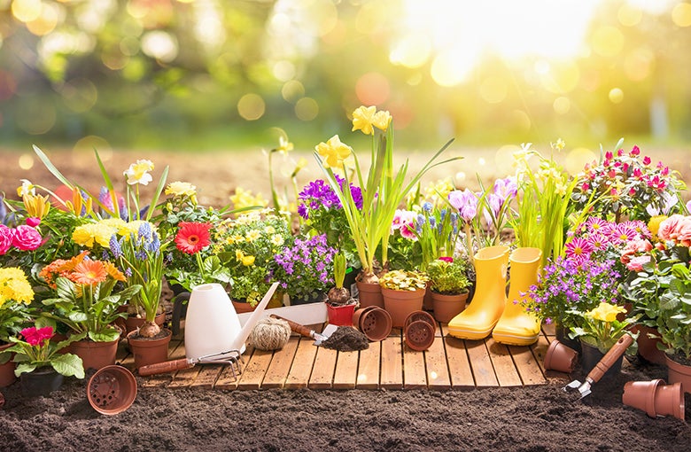 Canyon County Spring Home & Garden Show | Ford Idaho Center